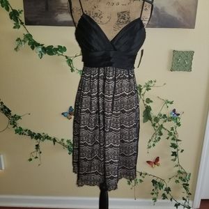 MaxandCleo Tea Party Lace Dress Size 2